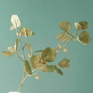 Anthropologie - Gold Eucalyptus Spray - 32"H
